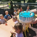 Tort grupy pszczółki i dzieci w tle