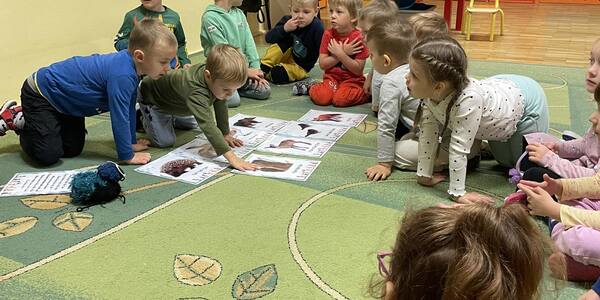 dzieci oglądające na dywanie zdjęcia leśnych zwierząt