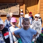 Grupa 