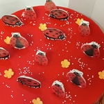 Tort Biedronek
