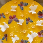 Tort Motyli