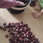 pro-7rFOQKaF_2026-10-16_12:28:58.jpeg